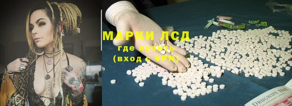 шишки Арсеньев